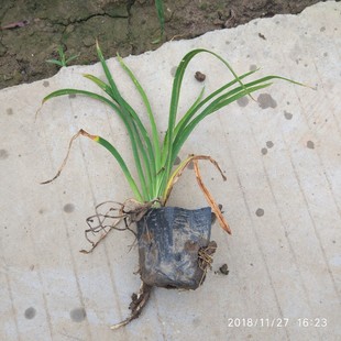 ����ֱ�����Դ���� �^���ر� �໨�Gֲ���޲�