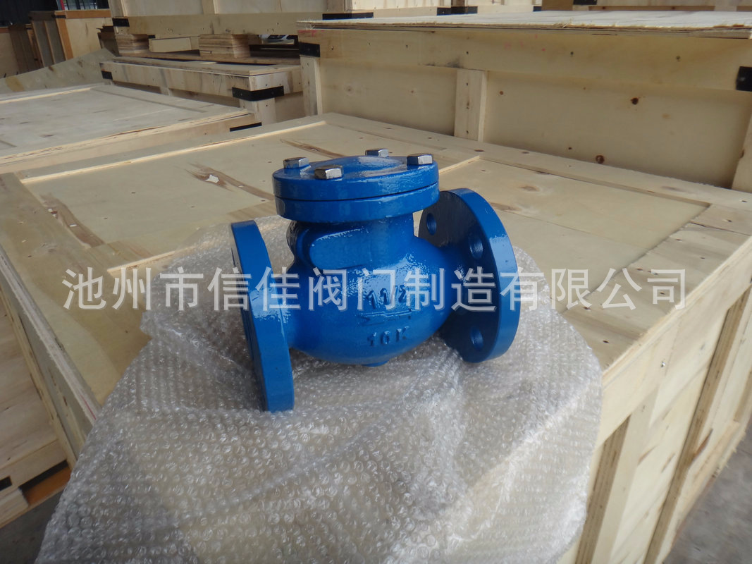 铸铁硬密封止回阀+H44T.JPG