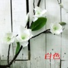 Simulation Magnolia Plastic Vine Living Room Wall Wall Heating Pipeline Air Conditioning Decoration Fake Vesles Wind Wind Obstruct