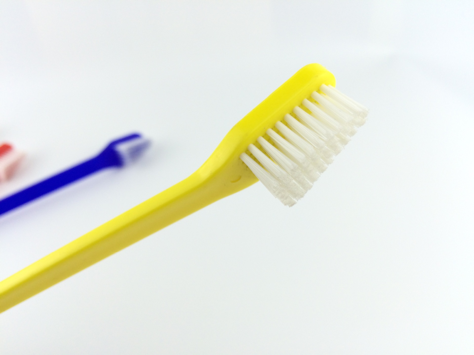 2021 Pet Puppy Plastic Toothbrush Dog Double Heads Toothbrushes Multi