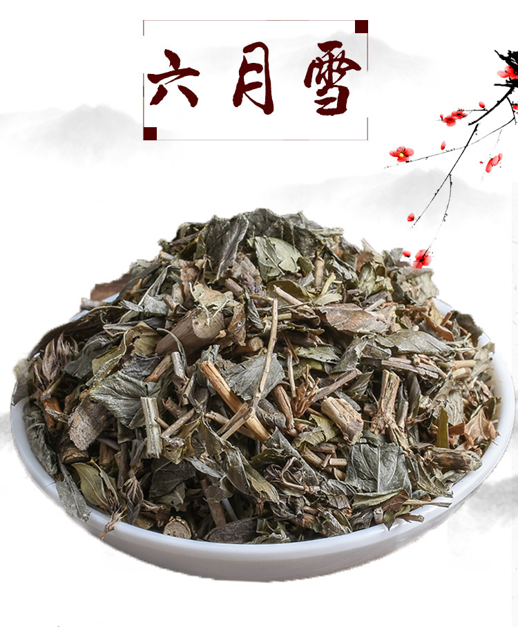 Liu Yue Xue Herb (Serissa japonica) — Dried Snow-in-Summer for Herbal Tea & Decoction key features