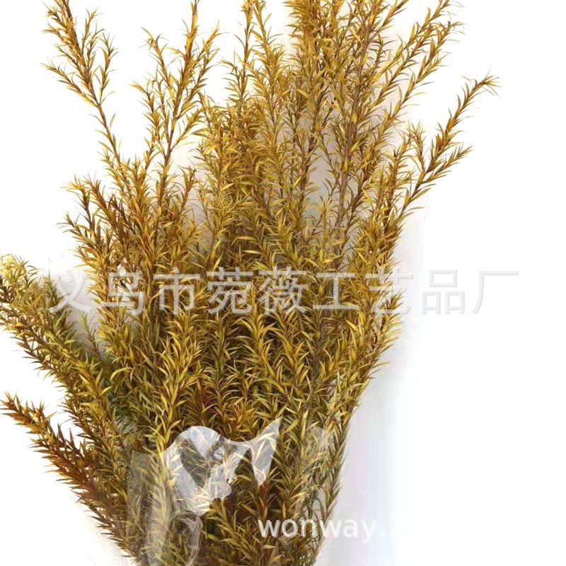 微信图片_20181102152226