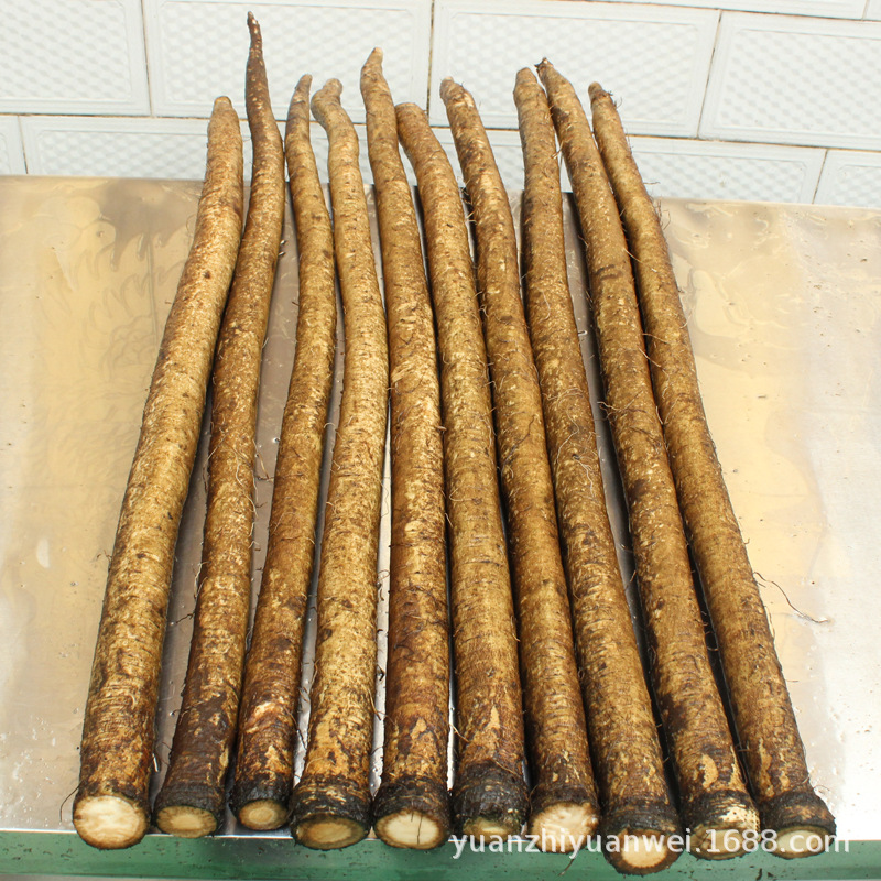 Large supply 3L fresh  Burdock Manufactor Fresh burdock root According to customer Requirement customized machining