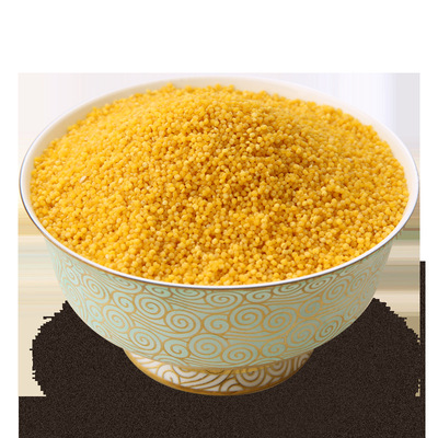 内蒙古黄小米厂家批发张杂3号去皮谷子晋谷新小米五谷杂粮月子米
