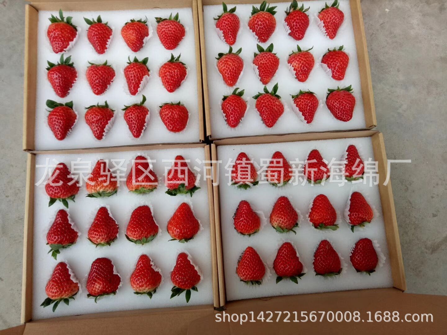 供应白色海绵草莓包装防震海绵/快递防震包装海绵泡沫