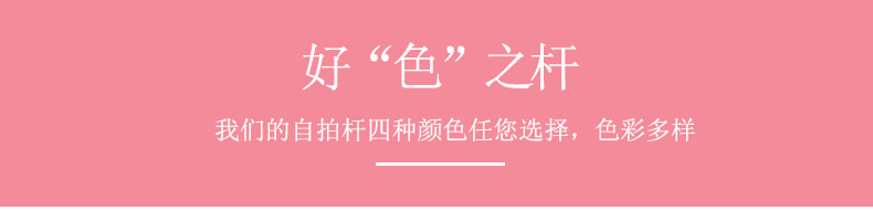 Perche selfie en Alliage d aluminium - Ref 3385794 Image 30