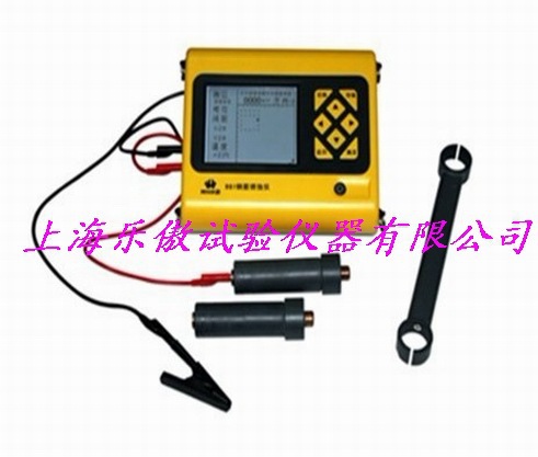 R61钢筋锈蚀仪/锈蚀仪（厂家直销）