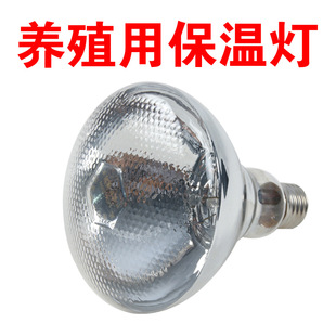 ���؟��ݼӺ���������ȡů���ڷ�ˮ�����t�⾀���i���ݼ������Bֳ