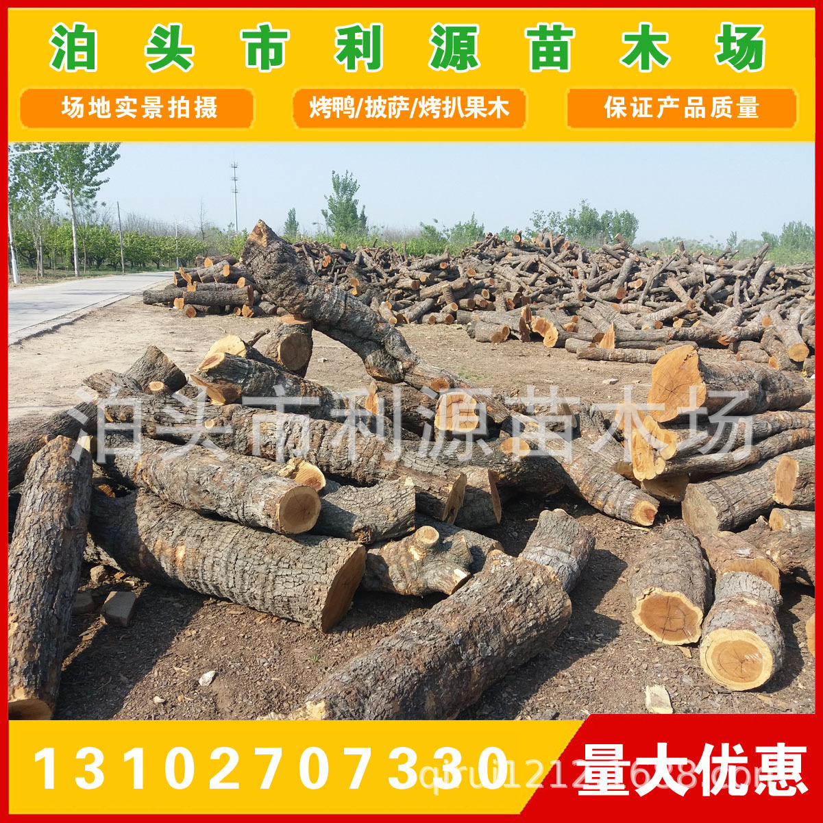 常年供应枣木 枣树木直径25-50公分 枣木 雕刻枣木 枣木墩用料-阿里巴巴