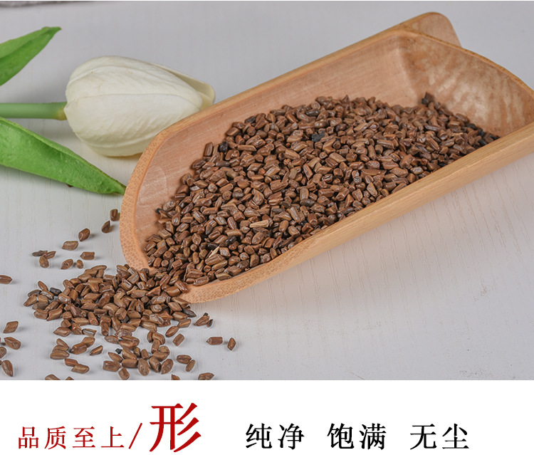 Jue Ming Zi (Cassia obtusifolia) — Dried Food-Herb Seed for Tea & Soup, 500g key features