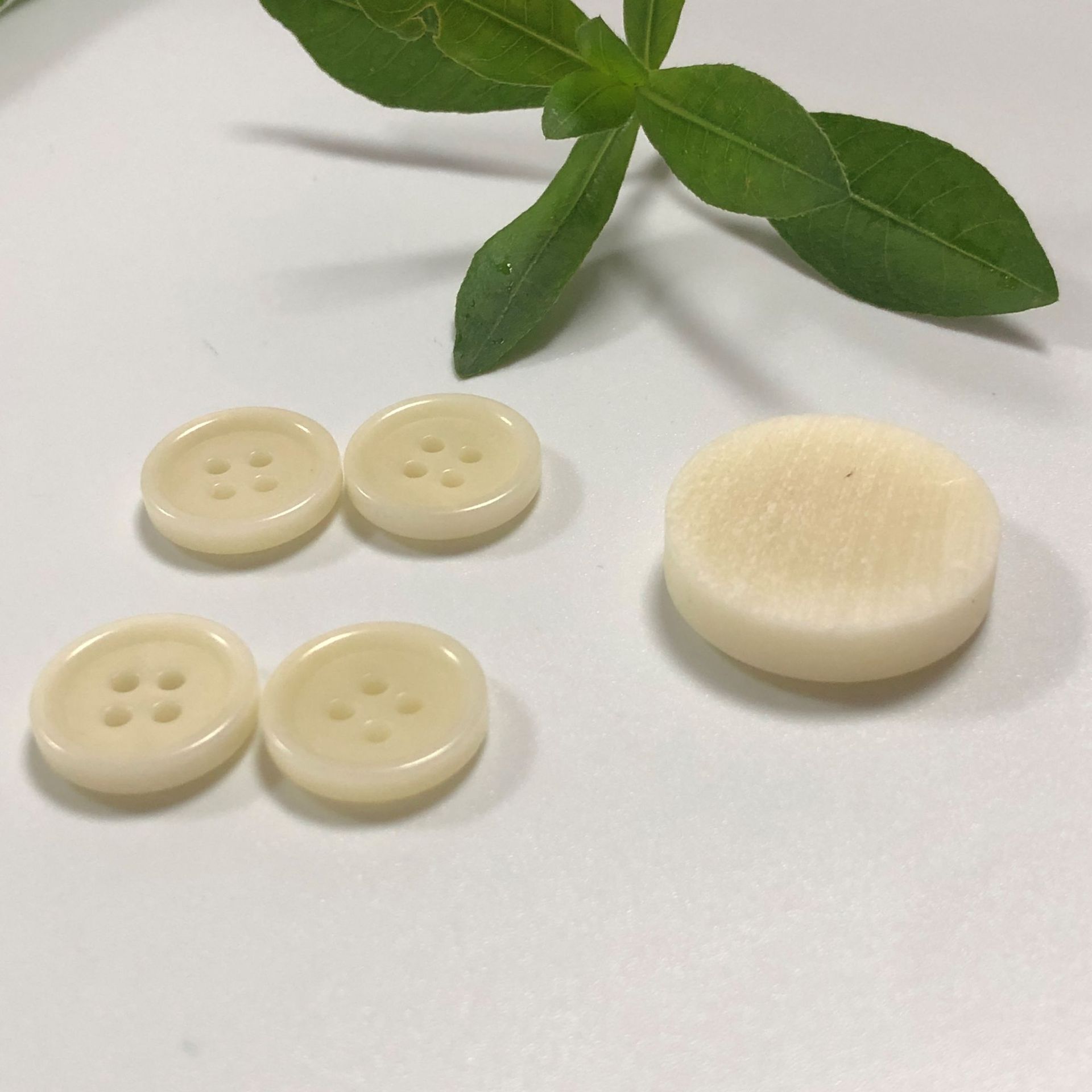 厂家直销天然果实扣四眼男女衬衫纽扣子圆边细边扣可染色定作LOGO