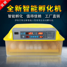 工厂直供220V/110V96枚孵化机全自动小型家用孵蛋器孵化箱孵化器