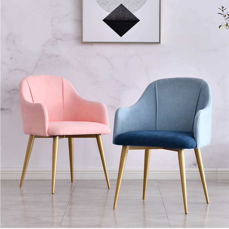 Nordic Dining Chair Simple Household Small Apartment Backrest Leisure Soft-wrapped Iron Internet Celebrity Aden Chair