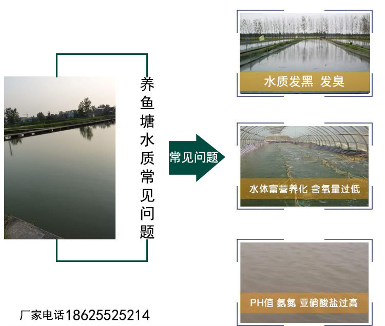 鱼塘水池常见问题