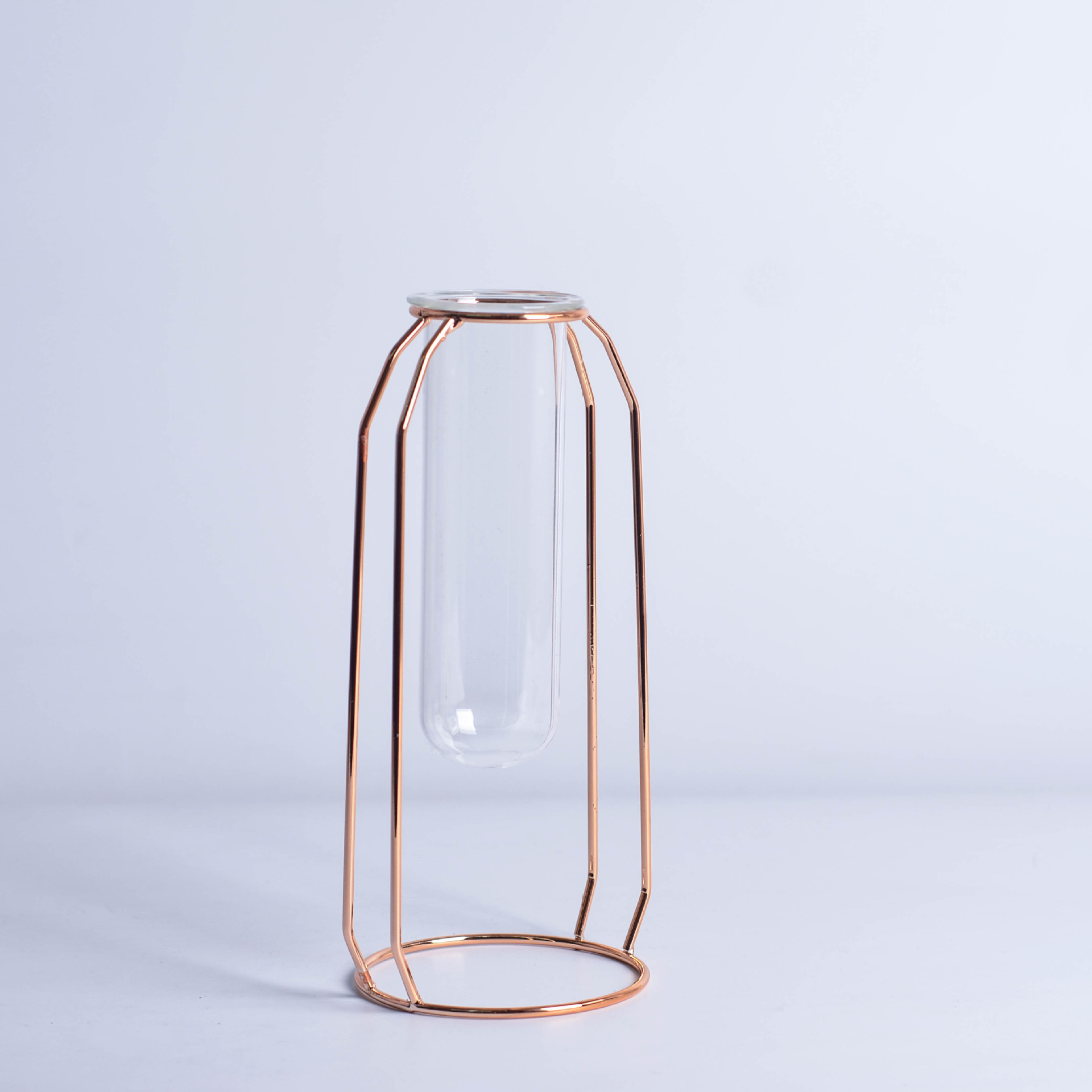 INS Minimalist Luxury Glass Hydroponic Metal Vase