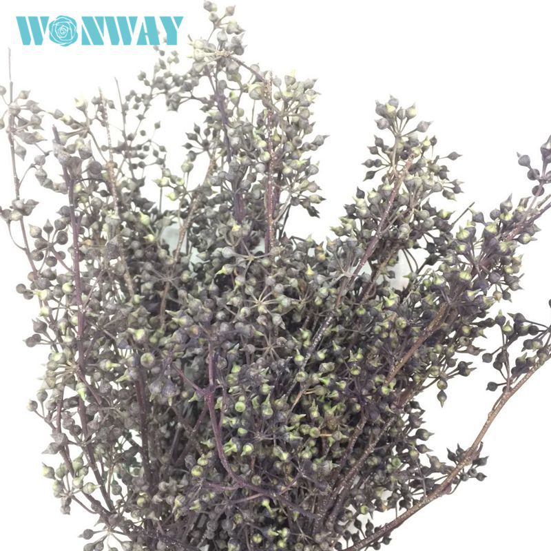 微信图片_20180126134239_副本