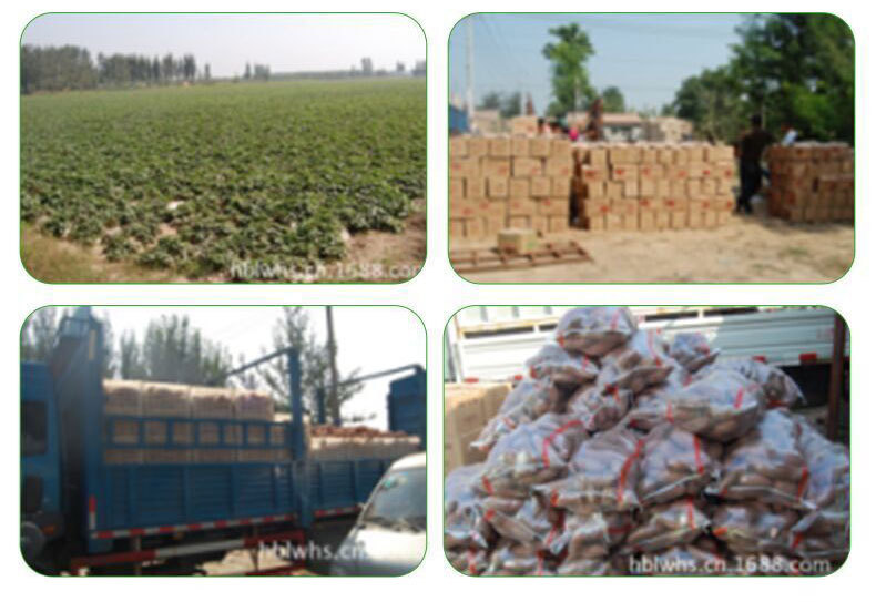 QQ图片20181207154112_08