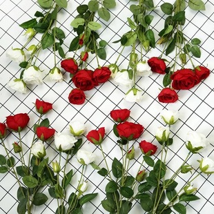 ����6�^��ˮ�軨õ�� ���Ĳ�õ�_�Ĳ軨��c����T̨���T�軨�OӋ