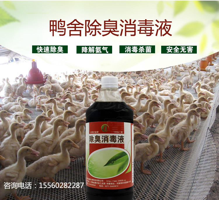 什么药能在鸭舍除氨气对鸭子没有危害