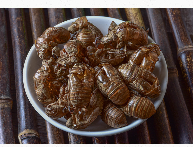 Chan Tui (Cryptotympana pustulata) — Sulfur-Free Washed Cicada Slough, Dried Herb key features