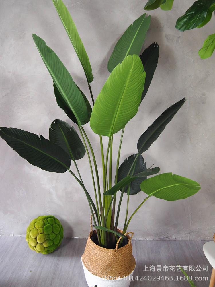 TB2jF9ceesAV1JjSZFsXXadZXXa_!!