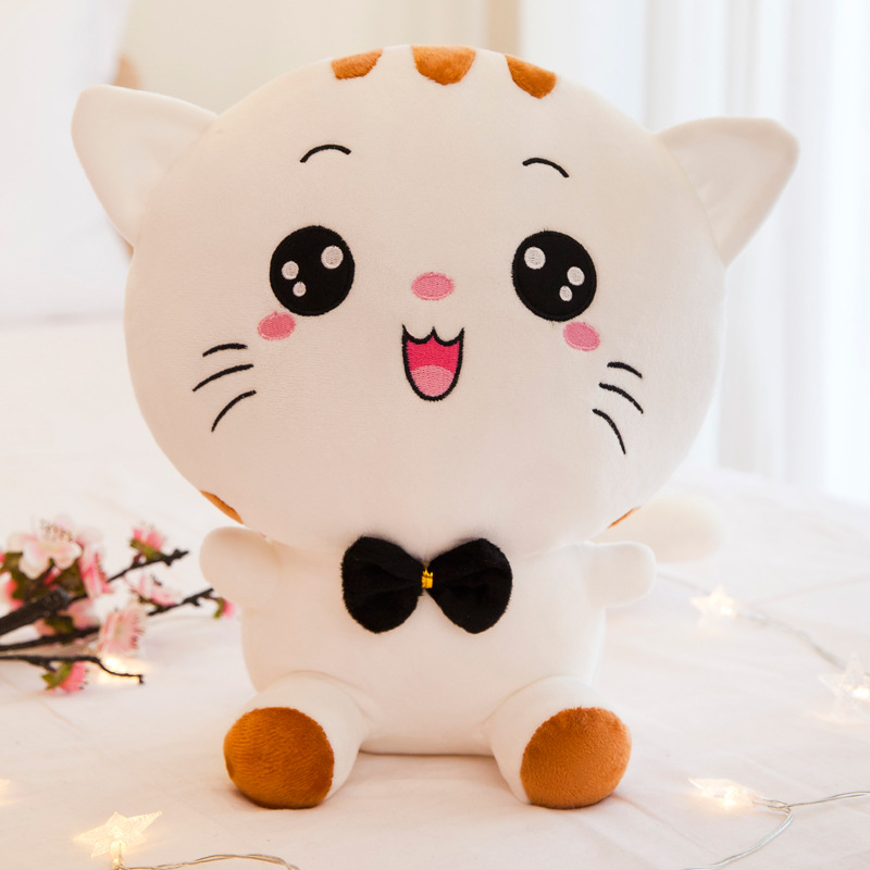 White laughed big cat cat