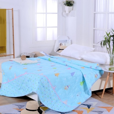 廠家直銷鑽石絨夏涼被空調被禮品被活動回禮團購擺地攤跑江湖被子