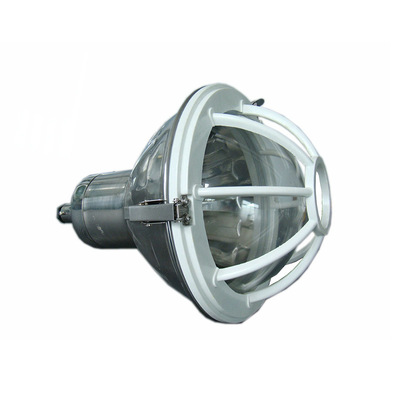 FAD-S  防水防塵防腐全塑燈 70w三防照明燈具增安型防爆防腐燈