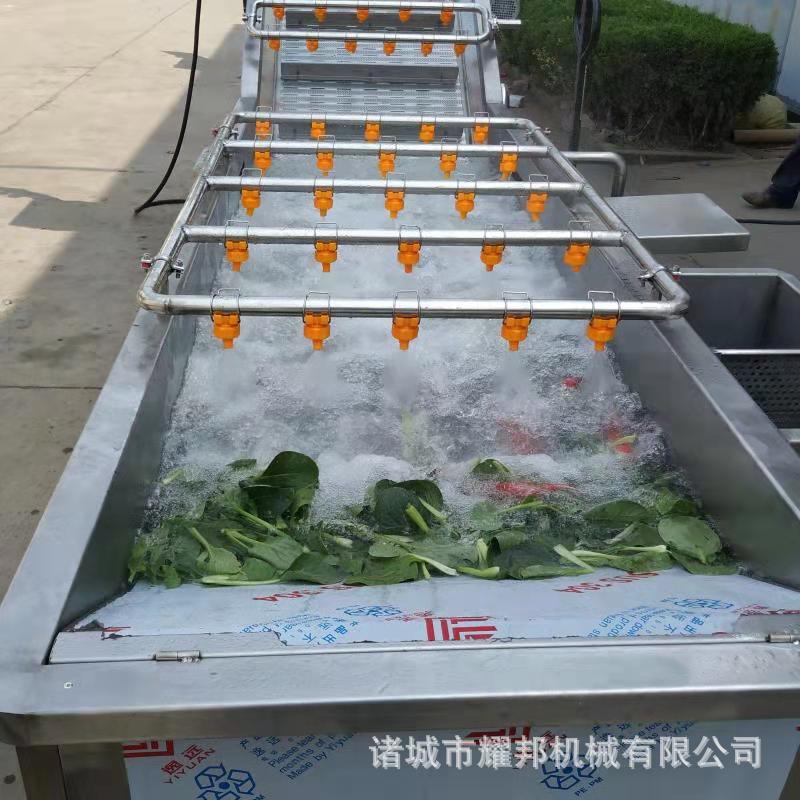 全自动传送洗葱机 喷淋冲洗气泡翻浪循环过滤 气泡清洗效果好
