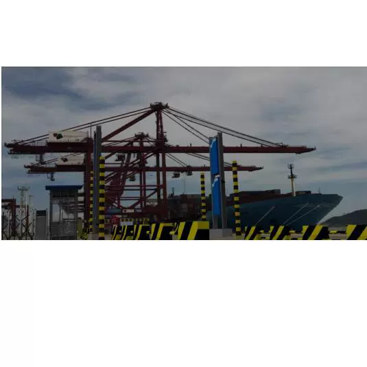 RC4025 большой автомобиль канал-типа радиоактивной системы мониторинга