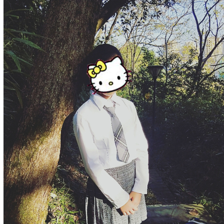 現物のネクタイの女性の短い怠け者のネクタイの学院の風の英倫の日本の学院の風の綿の格の土のクールな原宿の小さいネクタイ