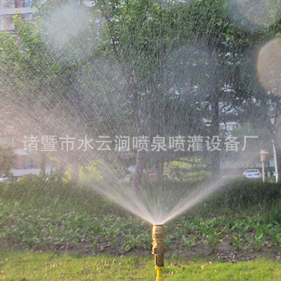 TB22CpJsbJkpuFjy1zcXXa5FFXa_!!