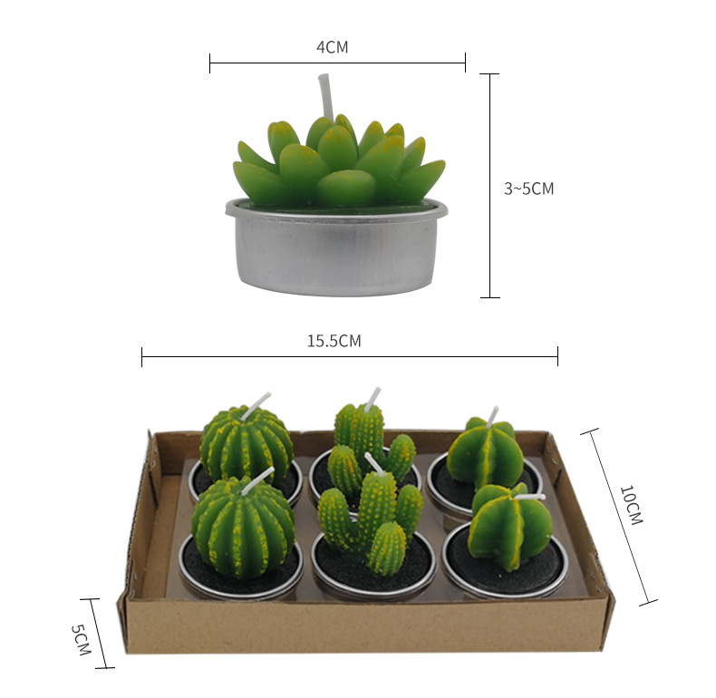 Pastoral Simple Style Cactus Paraffin Candle display picture 1