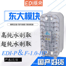 东大EDI模块EDI-1-HP 1T/H 高纯水超纯水设备制取水处理设备