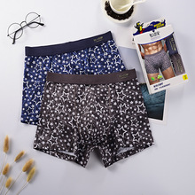 ���l��ɽ��ʿ��ѝ������U͹�OӋ�¿����������m2�l���bƽ�Ƕ�ѝ�^