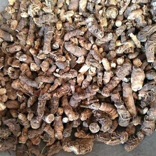 ���l�в� ���~һ֦�� �ؘ� ���� �S��ֱ���|�����C