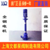 YW Block Liquid pumps 304 Stainless steel Sewage pump vertical Liquid pumps Sludge pump