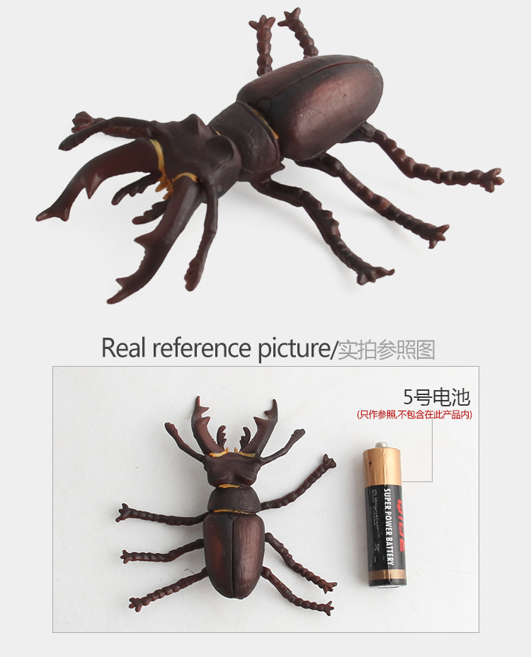 跨境热卖仿真昆虫动物摆件独角仙双叉犀金龟科教动物模型礼品玩具 阿里巴巴