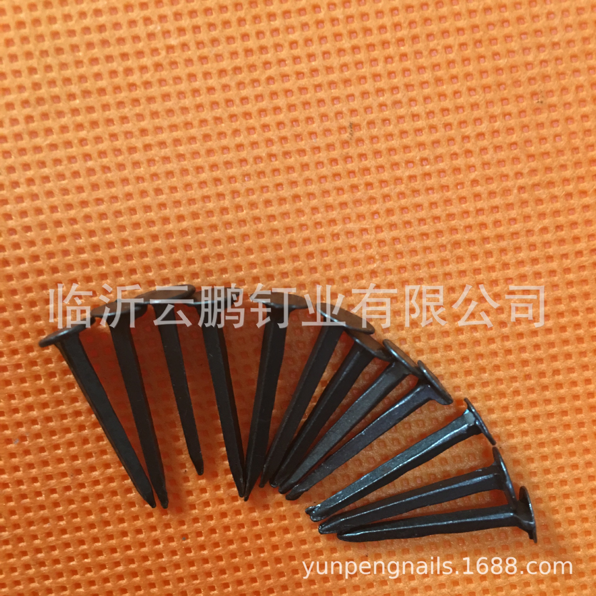 专业生产鞋钉规格型号11MM13MM16MM19MM25MM材质铁