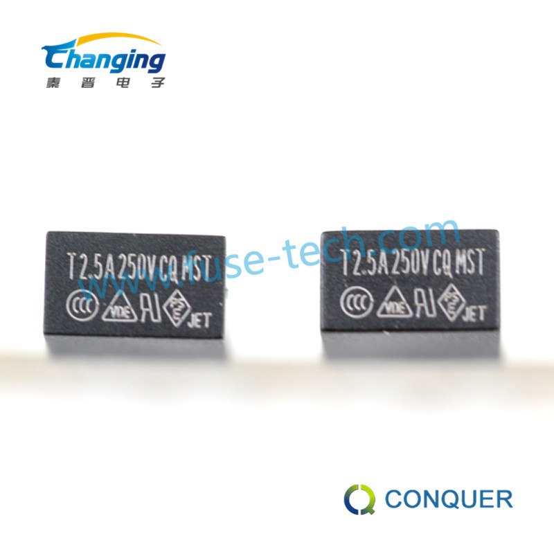 国产方形黑色塑封保险丝 MST02.5 2.5A 250V 微型保险丝 功得品牌