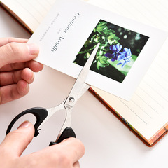 Creative office scissors multi-purpose tailor scissors student diy handmade paper scissors household stainless steel small scissors