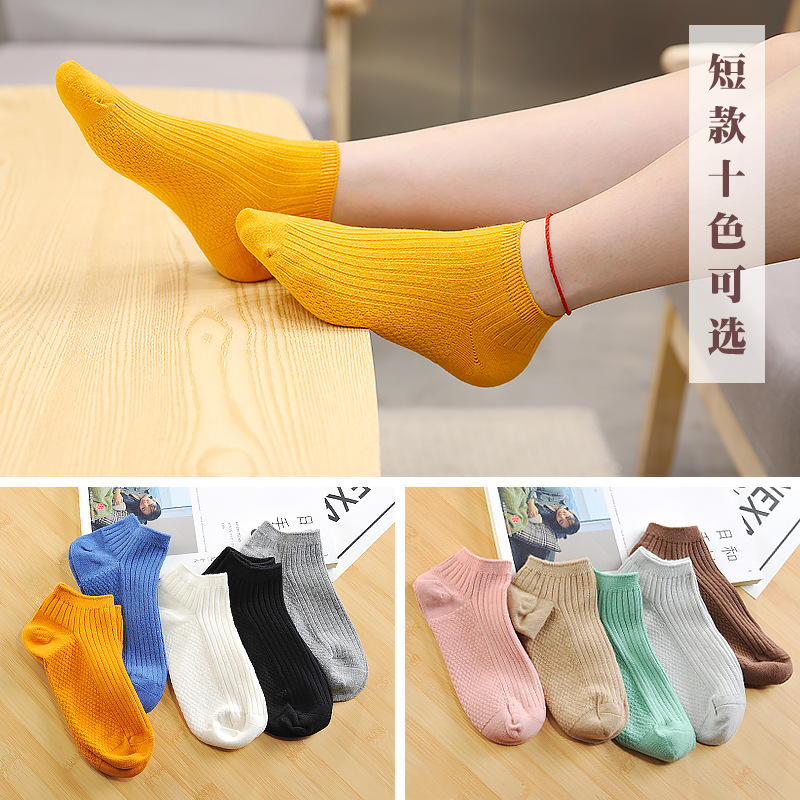 女士全棉純色中筒和短筒黑色女襪 雙針筒按摩底襪子 廠家直銷