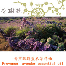  ˹ߵ޹²ݾ Lavender Population oil  10ML