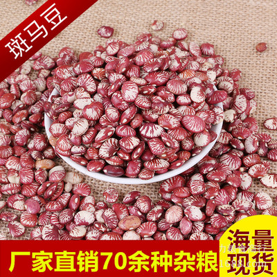 厂家直销粮食芸豆农家自产五谷杂粮批发荷包豆散装粗粮荷包豆|ms