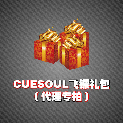 [Gift bag] CUESOUL/Q Veterinary 2ba Electronics Soft Darts head Darts Ye Fei Dart bar Darts parts