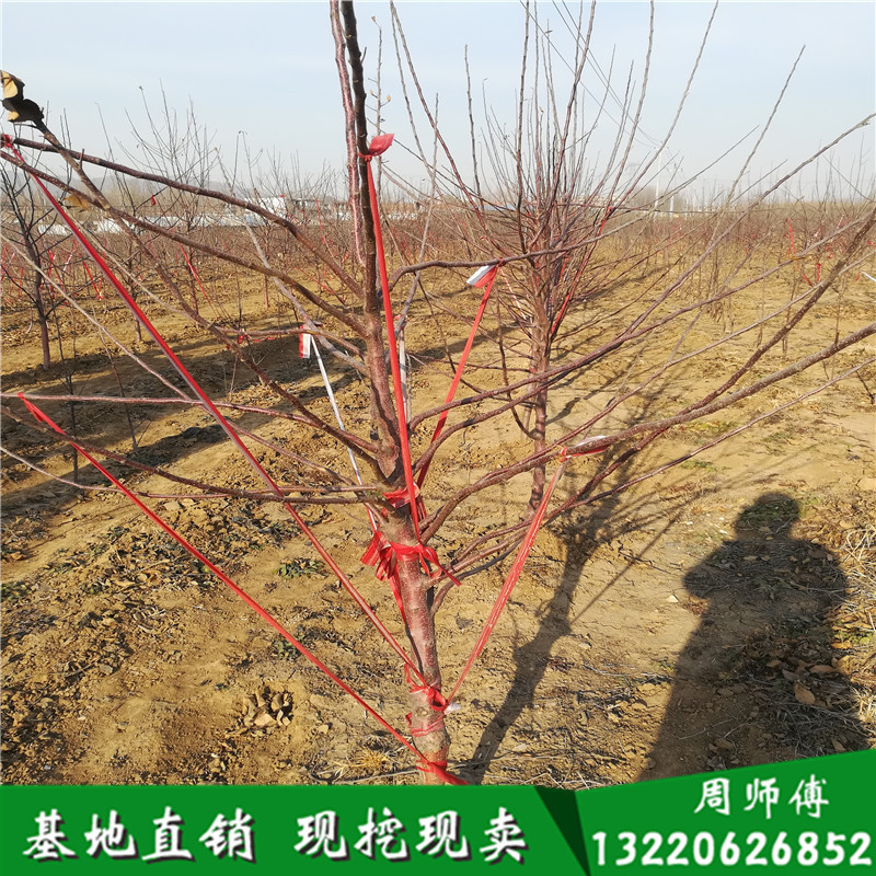 IMG_20180105_144002_副本