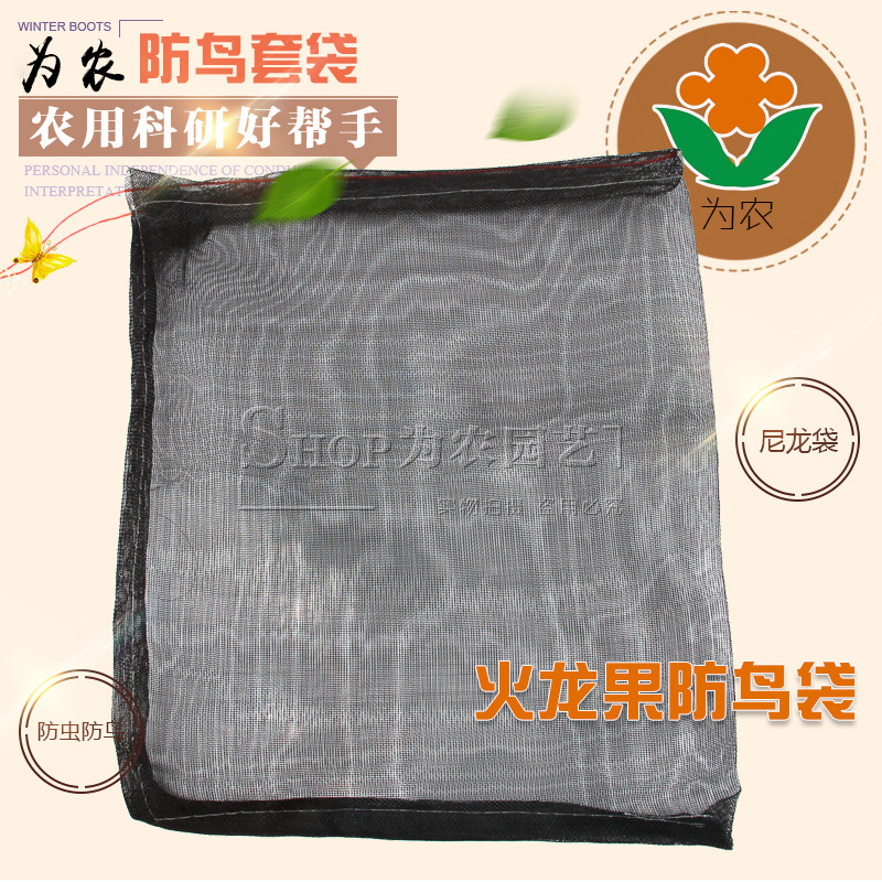 4366959381_782968901