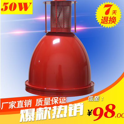 厂家直销led猪肉灯水果灯蔬菜灯 超市生鲜灯 卤肉熟食海鲜吊灯|ms