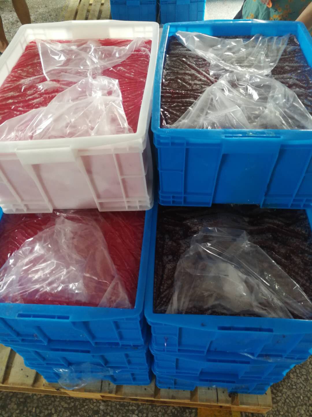 mmexport1537705646887