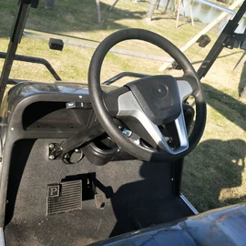 高尔夫球车;其他电动车;其他商用车